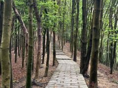 -凤岗南门山森林公园