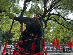 -杨家埠民间艺术大观园