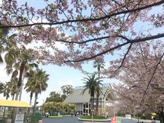 -三井奥特莱斯购物城(爵士之梦长岛店)