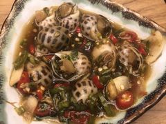 -一本钓鲔鱼屋