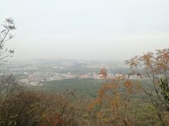 -紫金山山顶公园