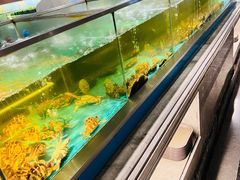 -海天盛宴海鲜自助(正大广场店)