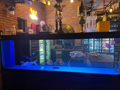 -莫朗核桃饼(虹泉路店)