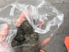 -叶氏麻糍(鼓浪屿店)