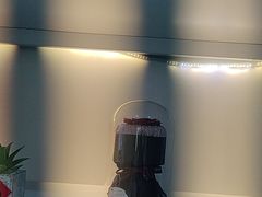 -希望动物医院(汉阳院)