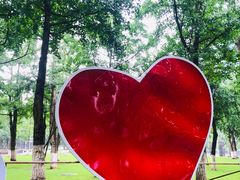 -重庆市江北嘴中央商务区中央公园