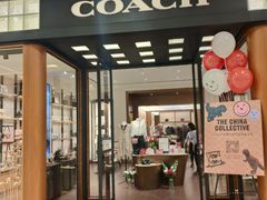 -COACH蔻驰(星光68广场店)