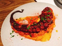 香烤八爪鱼腿-Apollo·西班牙小酒馆(安福路店)