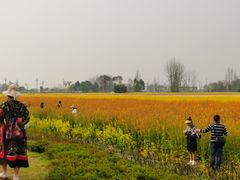 -中国天府农业博览园