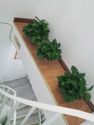 -SOR索尔祛痘·面部肌肤管理