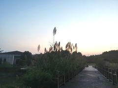 -桃源咖啡厅(武夷山大红袍山庄店)