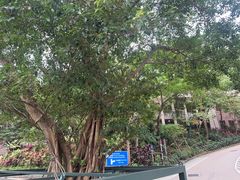 -香港大学