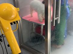 -宠福鑫康馨动物医院·骨科·眼科