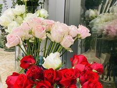 -CHEZ JASMINE 茉莉的氧气厨房