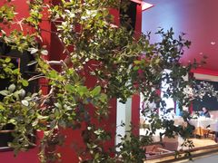 -俏江南天津时尚曲艺主题餐厅(马场道店)