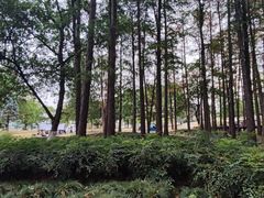 -月湖风景区