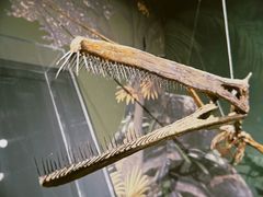 -遇见博物馆(遇见海洋沉浸式奇幻光影展)