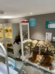 -奈尔宝·儿童乐园·亲子餐厅(华采天地店)