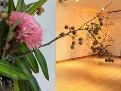 -巴巴新生活·四合院会议·疗愈团建.品牌活动