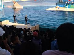 -秦皇岛乐岛海洋王国