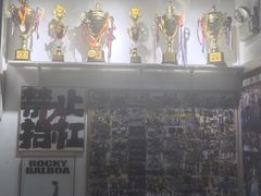 -成泰格斗(环球商业广场店)