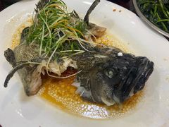 -隆都四季香饭店(碧海路店)