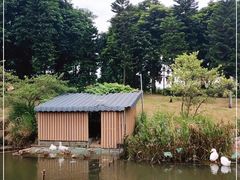 -映月湖公园
