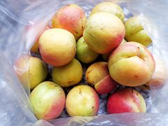 -柳沟豆腐宴69号福豆堂