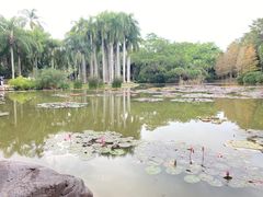 -中国科学院西双版纳热带植物园