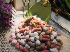 -开元新晶都酒店·自助火锅