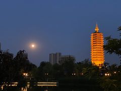 -西海子公园