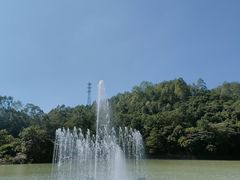 -广州白江湖森林公园