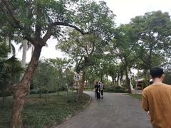 -海南文笔峰盘古文化旅游区