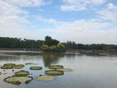 -大湾区中央湿地公园