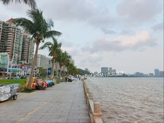 -观澳平台