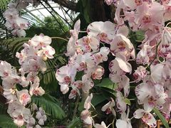 -北京植物园-展览温室