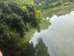 -水绘园
