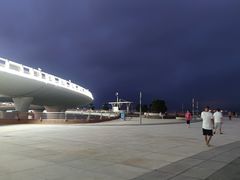 -演武大桥观景平台