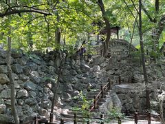 -国家植物园南园