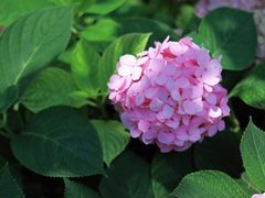 -金银湖国家城市湿地公园