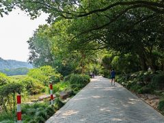 -中国茶叶博物馆(双峰馆区)
