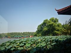 -湖畔居茶楼(湖滨店)