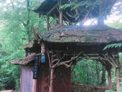 -青城山