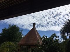 -白云中餐厅·粤菜·亚龙湾喜来登度假酒店