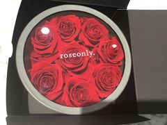 -ROSEONLY诺誓(沈阳万象城店)