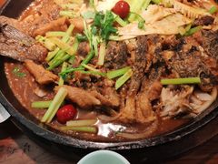 -老板恋上鱼(振华商厦店)