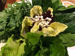 蔬菜拼盘-左庭右院鲜牛肉火锅(新梅广场店)