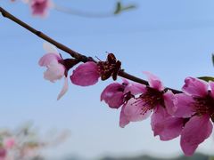 -河口景区
