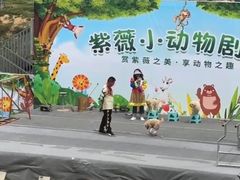 -武汉紫薇都市田园