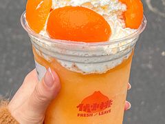 -伏小桃(明瓦廊店)